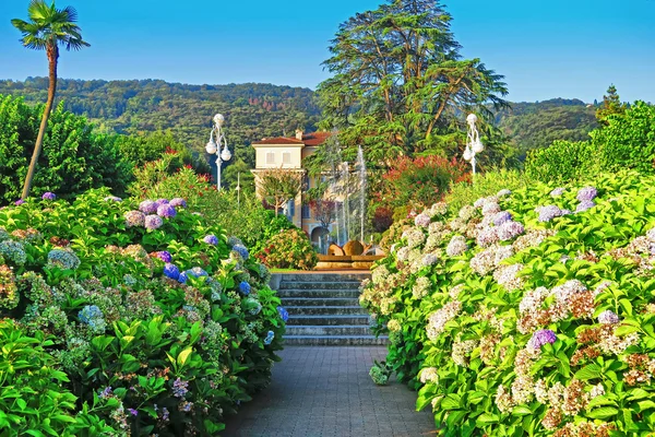Jardín de flores en Stresa, Italia — Foto de Stock