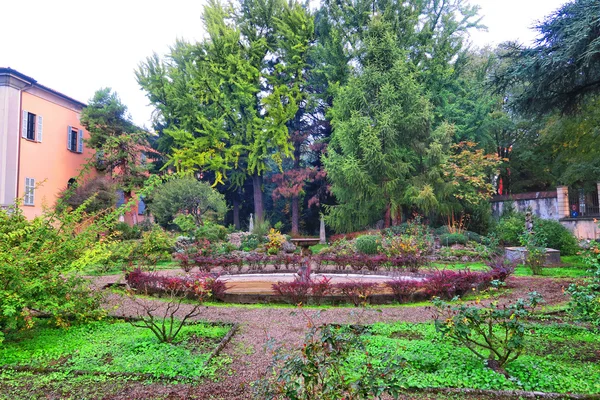 秋の植物園 — ストック写真