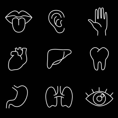 İnsan vücut parçaları, organlar - vektör doğrusal simge seti.