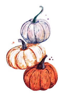 Beyaz arkaplanda üç suluboya balkabağı. 