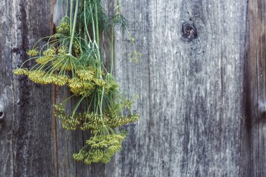 Çiçekleri ve sapları dereotu bir ahşap yüzeye