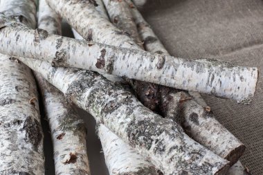 Huş ağacı ahşap arka plan