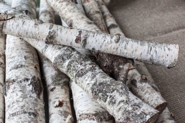 Huş ağacı ahşap arka plan