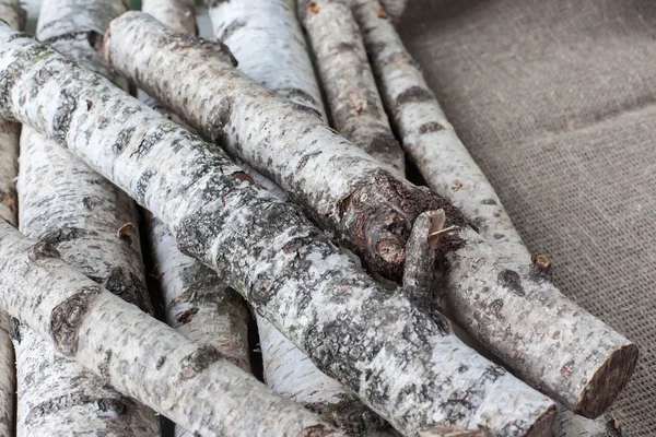 Fondo madera de abedul — Foto de Stock