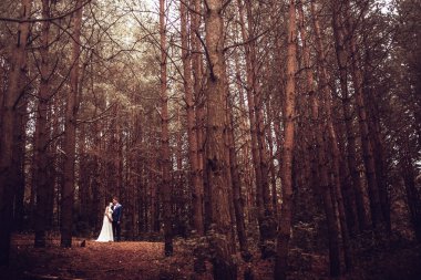 Doğa düğün ormanda ve kulakları ile alanına yürüyor
