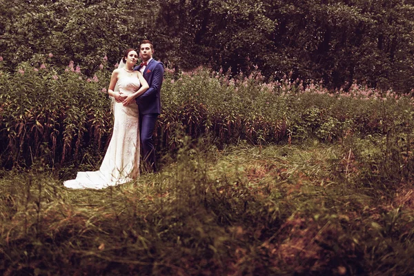 Casamento natureza caminha na floresta e no campo com orelhas — Fotografia de Stock