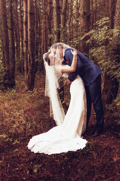 Casamento natureza caminha na floresta e no campo com orelhas — Fotografia de Stock