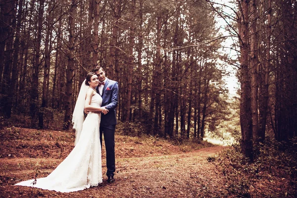 Casamento natureza caminha na floresta e no campo com orelhas — Fotografia de Stock