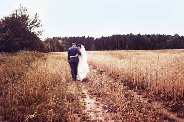 Γάμος φύση βόλτες στο δάσος και στο πεδίο με τα αυτιά — Φωτογραφία Αρχείου