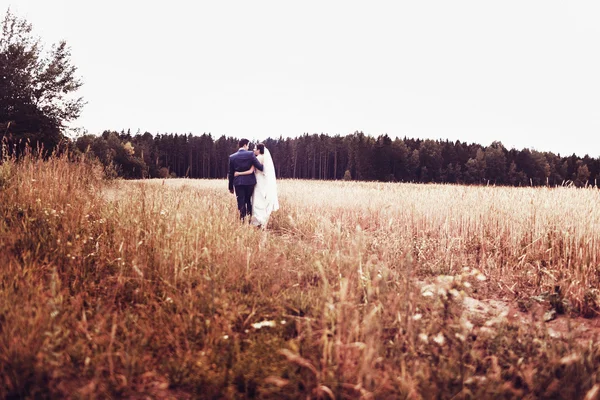 Casamento natureza caminha na floresta e no campo com orelhas — Fotografia de Stock