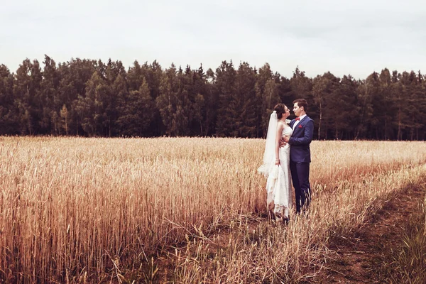 Matrimonio natura passeggiate nei boschi e nel campo con le orecchie — Foto Stock