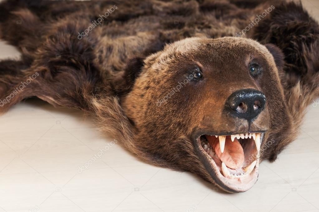 fell of bear
