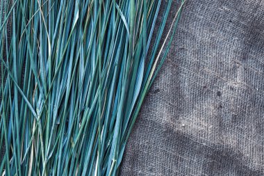 Çimen grup. Metin için yer