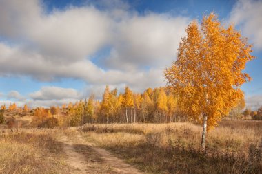 Mavi gökyüzü ve sonbahar ağaçlar