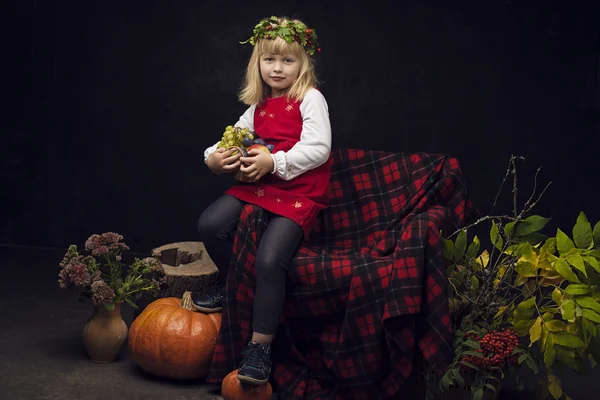 Cheerful girl in the autumn interior on a dark background — Stock Image Cheerful girl in the autumn interior on a dark background Stock Picture