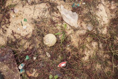 Çöplük alan. Çöp. Belediye katı atık ve yemek atıkları
