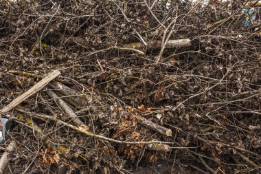 Rusya - 18 Ekim 2015: depolama. Çöp. Belediye katı atık ve yemek atıkları