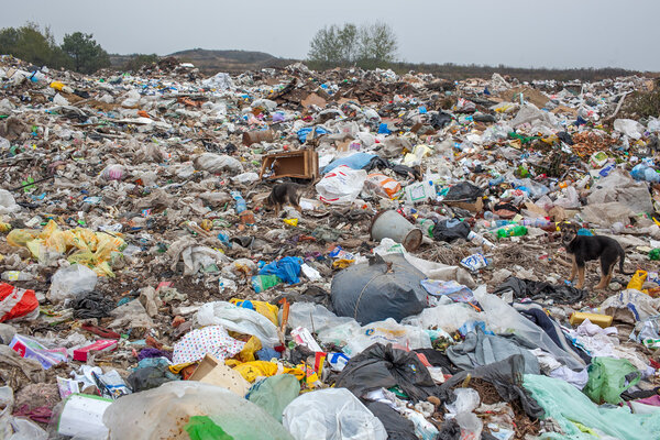 Россия - 18 октября 2015 г.: Свалка. Мусор. Твердые бытовые отходы и пищевые отходы
