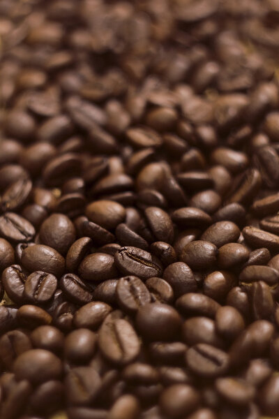 Many coffee grains texture with blur