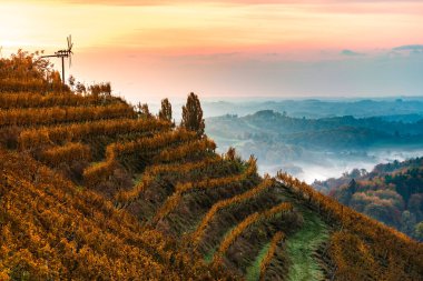 Gündoğumu sırasında Slovenya 'daki tepelerde Avusturya' daki Güney Styrian rotasından Autumn View. Üzüm bağı temasında sonbahar.