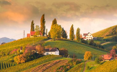 Güney Styria üzüm bağları, Avusturya 'nın Toskana' sı. Sonbaharda gün doğumu. Tepenin tepesinde kavak ağaçlarıyla dolu renkli ağaçlar ve manzara.