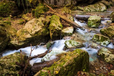 Semriach bölgesi Graz, Styria 'daki Kesselfallklamm şelalelerinde sonbahar. Eğlence için yürüyüş noktası.