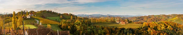 Sur Estiria Viñedos Panorama Toscana Austria Amanecer Otoño Coloridos Árboles — Foto de Stock