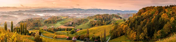 Південностирійські Виноградники Панорама Тоскана Австрійська Восени Сонце Сходить Яскраві Дерева — стокове фото