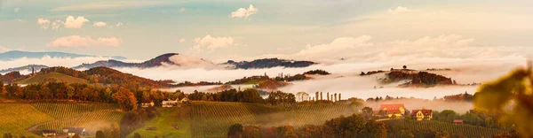 Panorama Das Vinhas Styria Sul Toscana Áustria Nascer Sol Outono — Fotografia de Stock