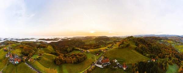 Paisagem Vinhedos Styria Sul Panorama Aéreo Eckberg Colinas Uva Outono — Fotografia de Stock