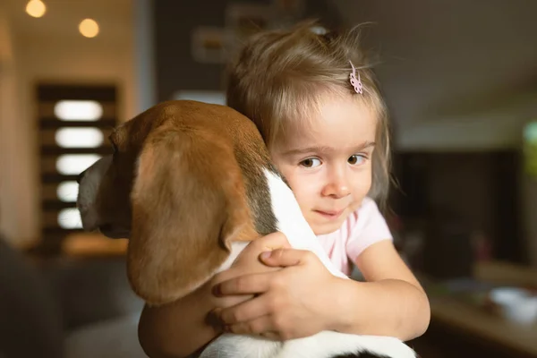 Barn Kramas Hårt Beagle Hund Vardagsrummet Husdjur Med Barn Koncept — Stockfoto
