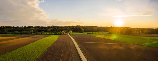 Panoramaaufnahme ländlicher Raum mit Pfad zwischen Feldern, der zum Wald führt. — Stockfoto