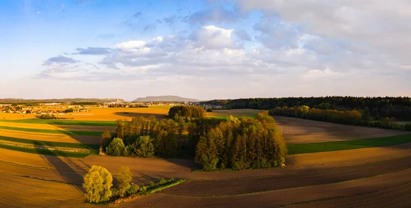 Panorama shot landelijk gebied met pad tussen velden van leidt naar bos. — Stockfoto