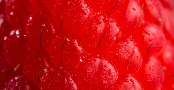 Frische Himbeeren in extremer Nahaufnahme als Hintergrund — Stockfoto