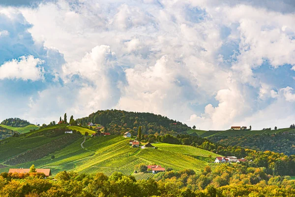 Landschaft der Weinberge in Österreich, Südsteiermark — Stockfoto