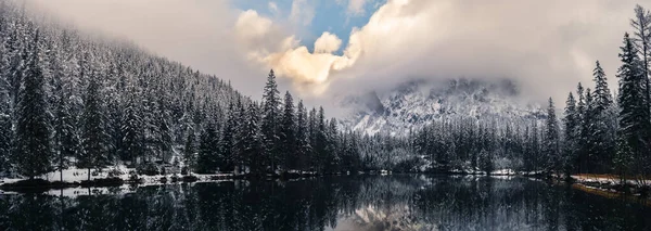 Paysage dramatique du lac dans la forêt près des montagnes pendant l'hiver. — Photo