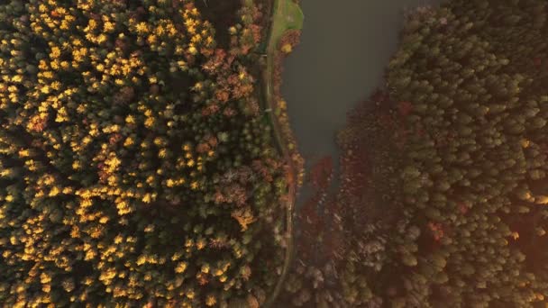Letecký pohled na les během klidného podzimního západu slunce. — Stock video