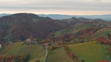 Styria 'da sonbahar günbatımında Avusturya' nın üzüm bağları üzerindeki hava manzarası Kitzeck im Sausal.