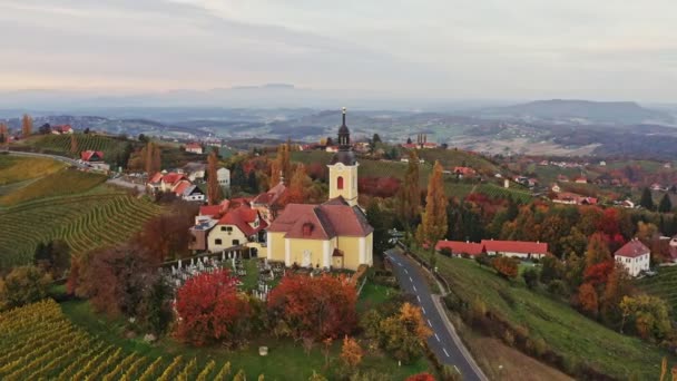 Légi kilátás osztrák falu Kitzeck im Sausal a szőlő. Lődd le a templom tetején szőlőhegy — Stock videók