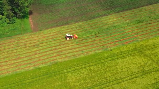 Vista aérea de arriba hacia abajo de un tractor que corta el grano moviéndose en un hermoso campo verde fresco. — Vídeo de stock