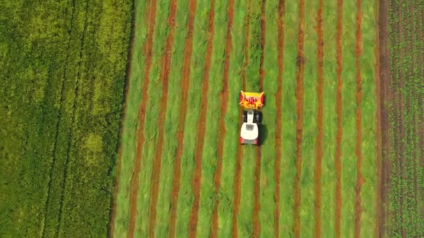 Vista aérea de arriba hacia abajo de un tractor que corta el grano moviéndose en un hermoso campo verde fresco. — Vídeo de stock