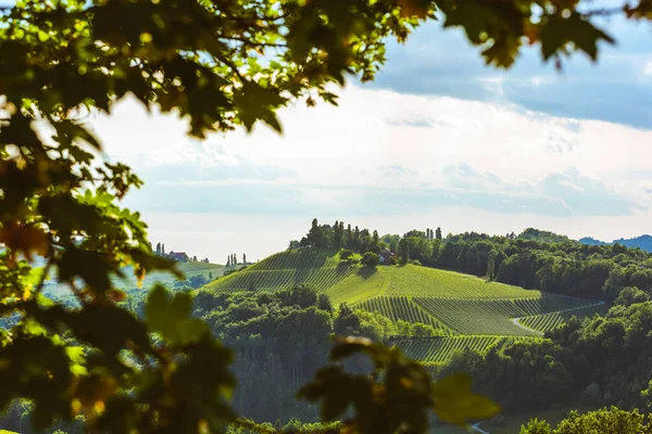 Zuid-Stiermarken wijngaarden landschap, nabij Gamlitz, Oostenrijk, Eckberg, Europa. — Stockfoto