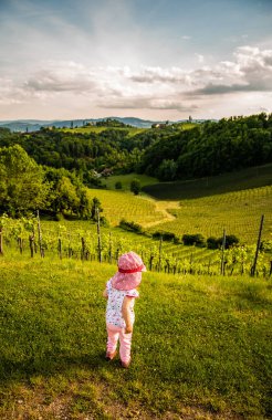 Bebek üzüm bağının manzarasına bakıyor