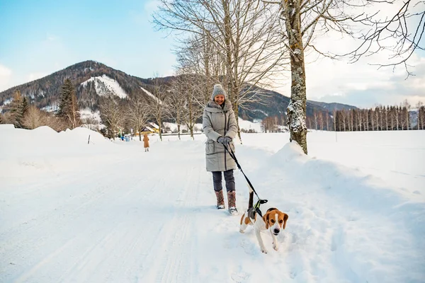 Mujer con perro en un paseo en el paisaje de invierno — Foto de Stock
