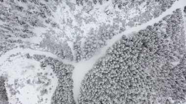 Avusturya 'da karla kaplı ormanda hava manzaralı yol