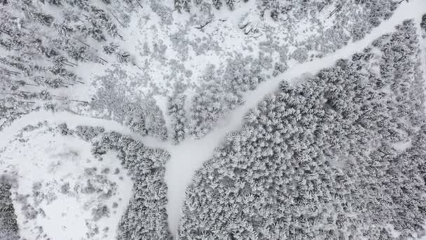 Vista aérea en el camino a través del bosque cubierto de nieve en Austria — Vídeo de stock