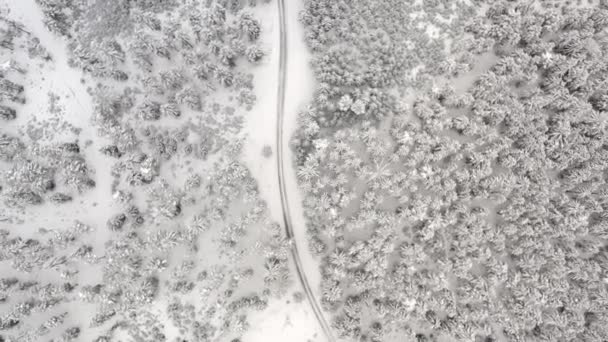Luftaufnahme auf Pfad durch verschneiten Wald in Österreich — Stockvideo