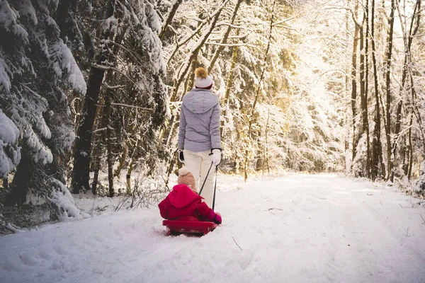 Madre tirando del bebé en un trineo a través del bosque de invierno. — Foto de Stock