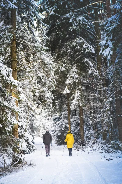Tema Bosque cubierto de nieve con personas mayores activas — Foto de Stock