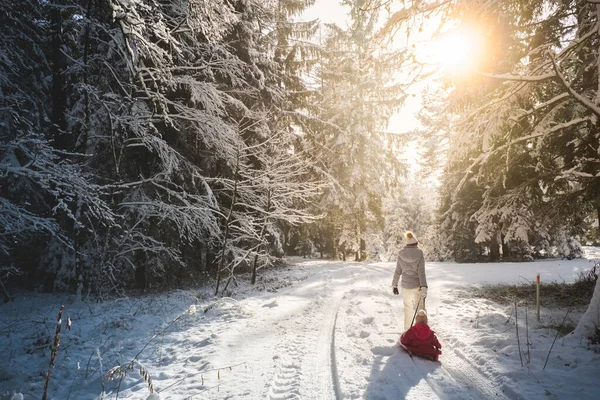 Madre tirando del bebé en un trineo a través del bosque de invierno. — Foto de Stock